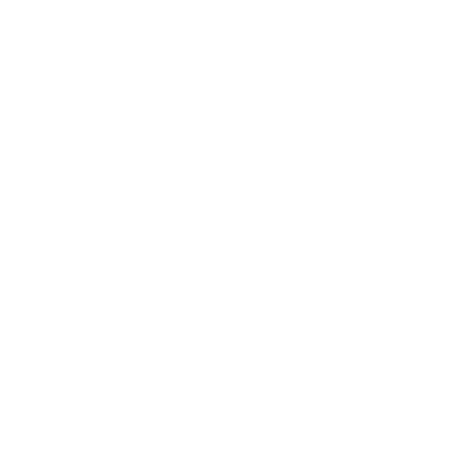 play icon